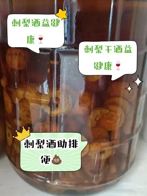 酿酒师对比新鲜刺梨与刺梨干，用于制作刺梨泡酒的场景_1