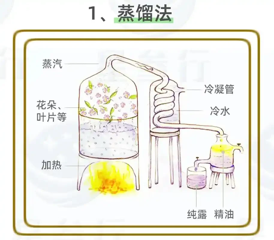 传统白酒蒸馏设备（甑桶）内部工作原理剖面图解，展示蒸汽上升、穿过酒醅、冷凝成酒的全过程_1