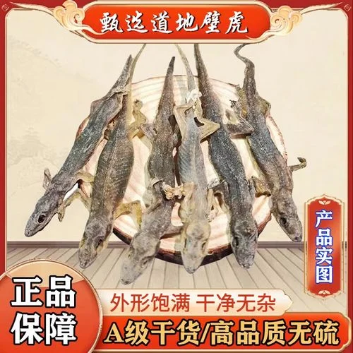 透明玻璃泡酒罐内壁虎干品与中药材静置的细节特写照片_1