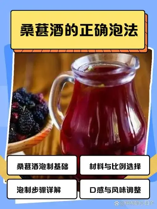 桑葚泡酒过程特写，玻璃罐中深紫色桑葚与酒液交融，旁边是新鲜桑葚和纯粮白酒，展示家庭酿酒的健康与自然。_1