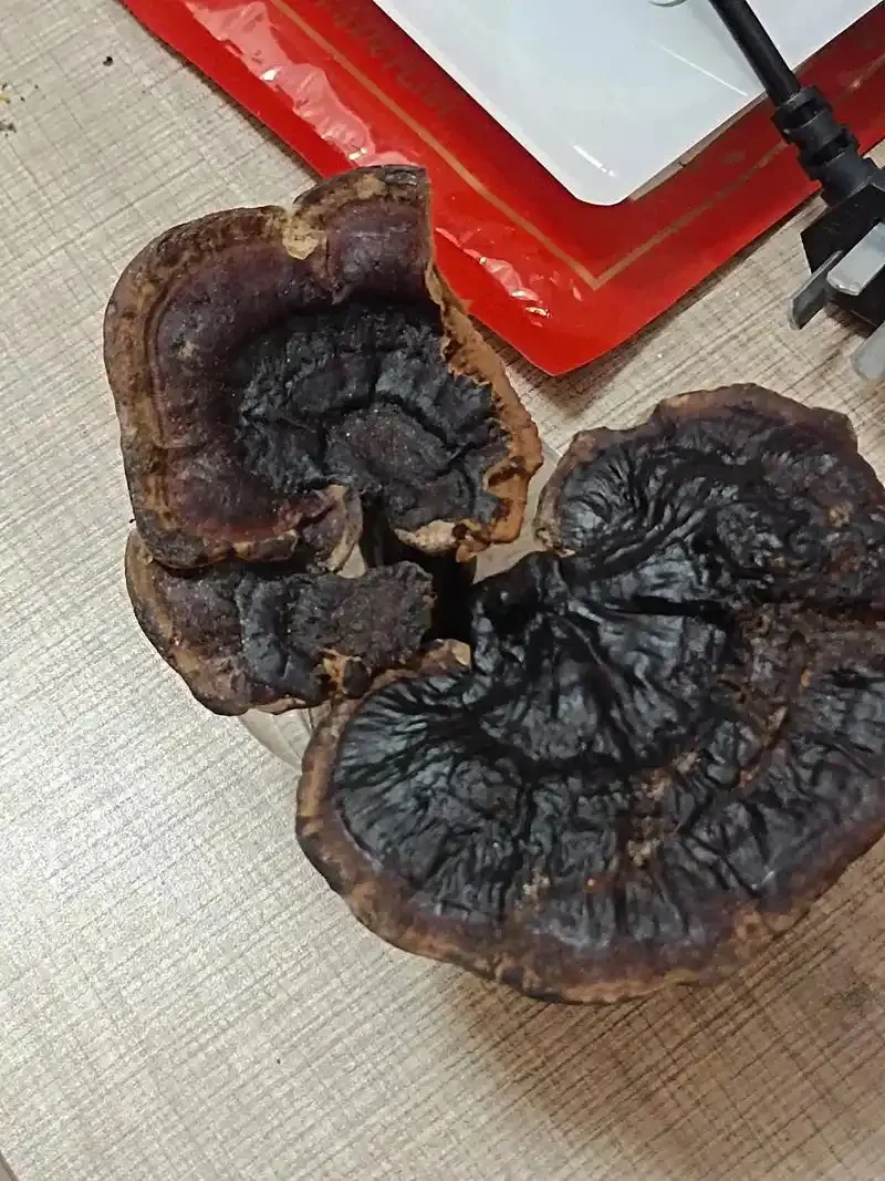 三种不同配方的灵芝泡酒样品展示，包括灵芝枸杞红枣酒、灵芝人参酒和灵芝桂圆酒，旁边搭配所用原材料。_1