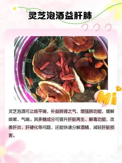 家庭自酿灵芝泡酒：玻璃罐中浸泡着完整灵芝和枸杞，旁边是干灵芝和纯粮白酒，展示酿酒过程。_1