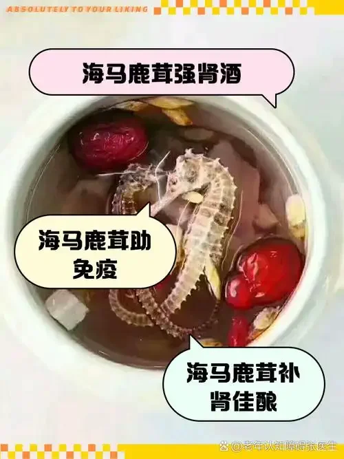 传统泡制的鹿茸海马酒特写，金黄酒液中可见完整海马、鹿茸切片和枸杞，背景古朴典雅。_1