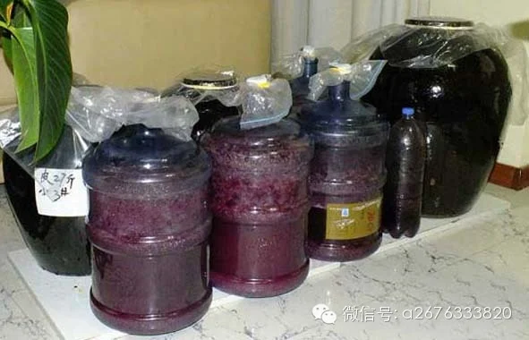 酿酒师正在检查一瓶出现异常的自酿葡萄酒，瓶中液体浑浊并有白色漂浮物，提示家庭自酿可能存在的安全风险。_1