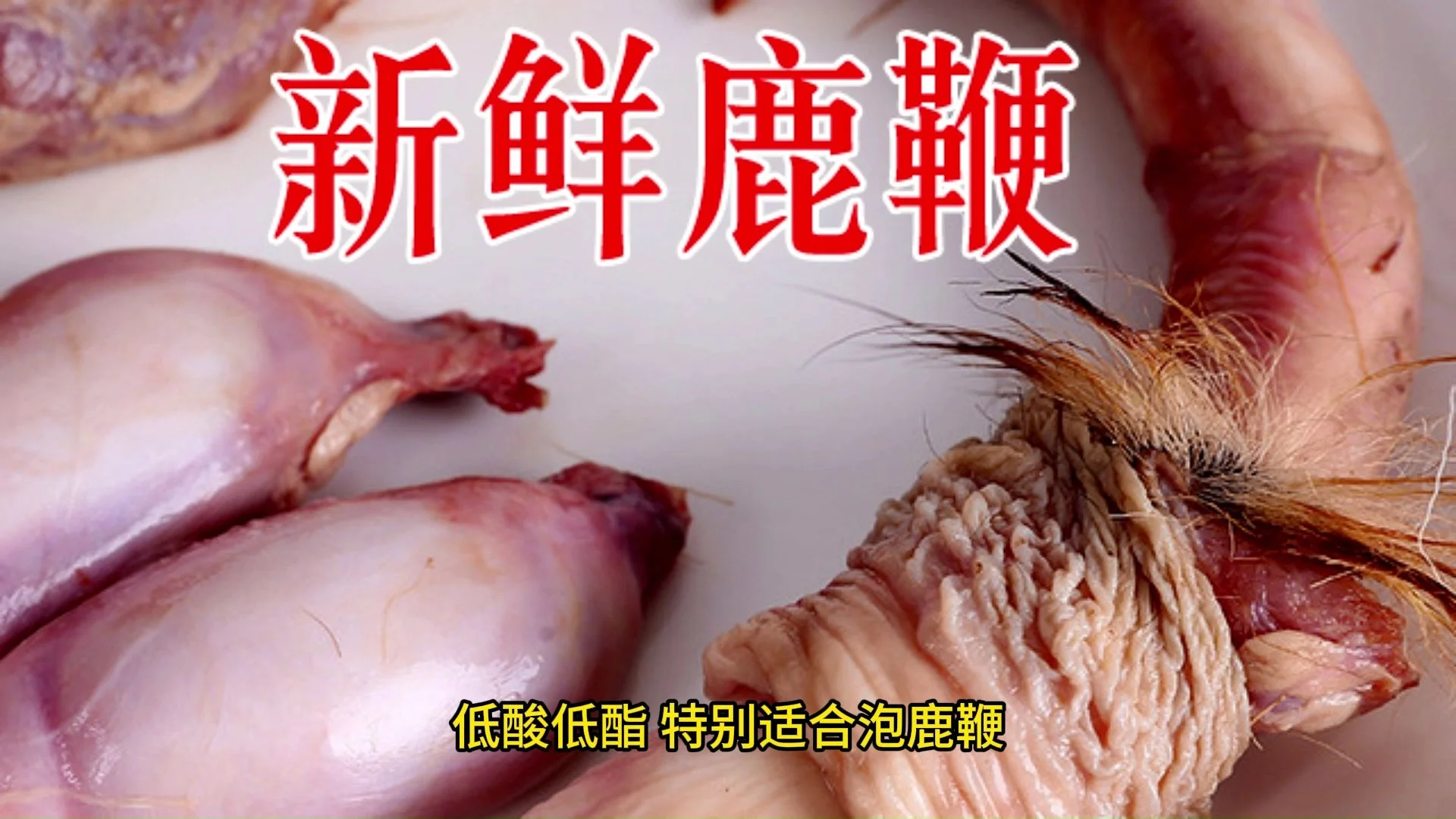 透明玻璃酒坛中泡着鹿鞭酒，旁边白色瓷碟里放着泡完酒后取出的鹿鞭，用于展示二次利用的可能性。_1