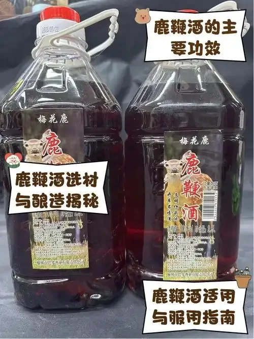 酿酒师正在将鹿胎粉倒入透明酒罐中泡制_1