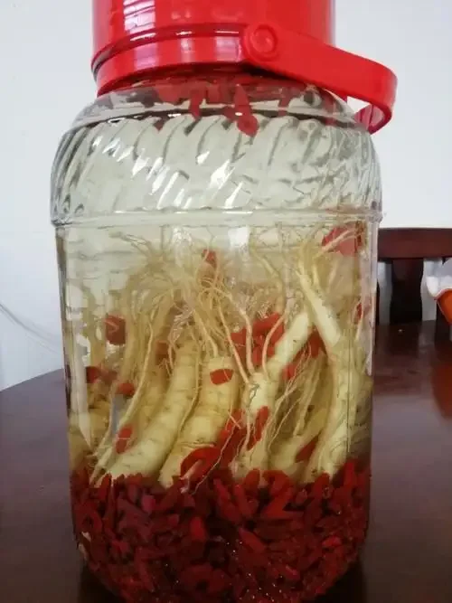 透明泡酒罐中人参与酒液的特写，展示家庭自制人参酒的清晰工艺场景。_1