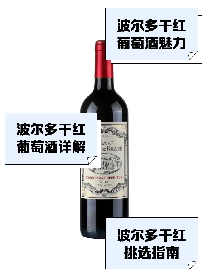 家庭自酿红葡萄酒进行中：玻璃罐内深紫色葡萄汁正在发酵，旁边是新鲜的佩莉葡萄和酿酒工具。_1