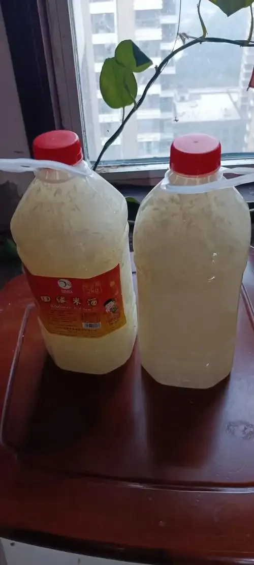 家庭酿造糯米酒场景：透明发酵罐中的米酒与电子秤上的糯米，展示出酒率的核心关系_1