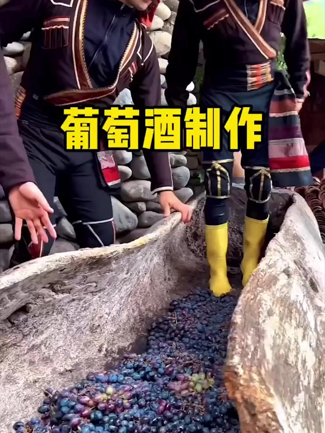 家庭自制葡萄酒发酵过程实拍：透明的玻璃罐中装着紫红色的葡萄醪，旁边是新鲜葡萄和酿造工具_1