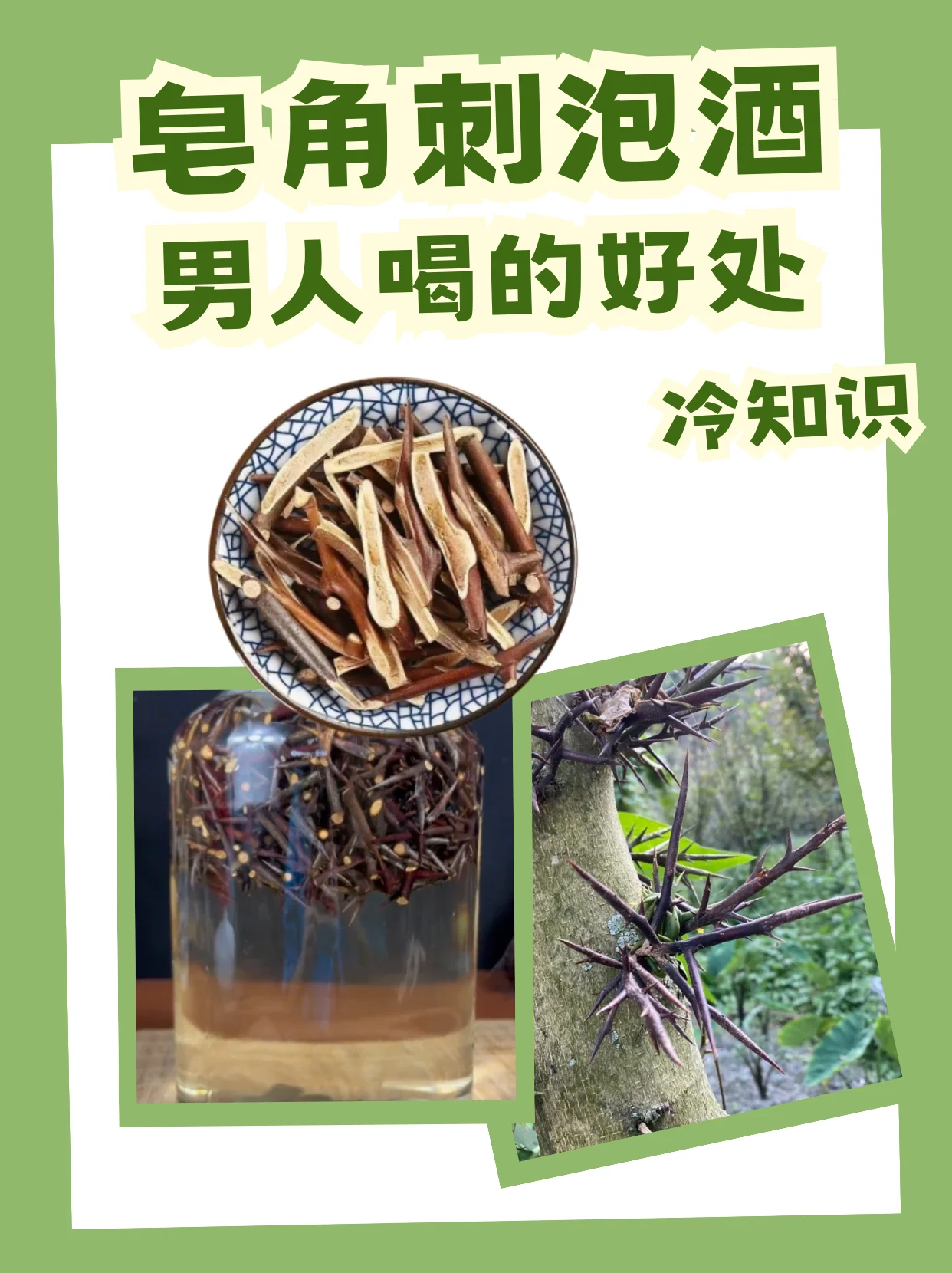 手工将羊角刺果实放入玻璃酒坛中浸泡的过程特写_1