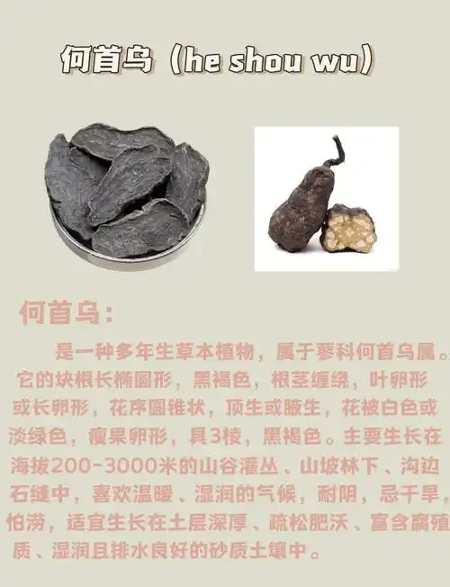 生首乌片与制首乌片对比特写，用于泡酒的器具与酒基展示_1