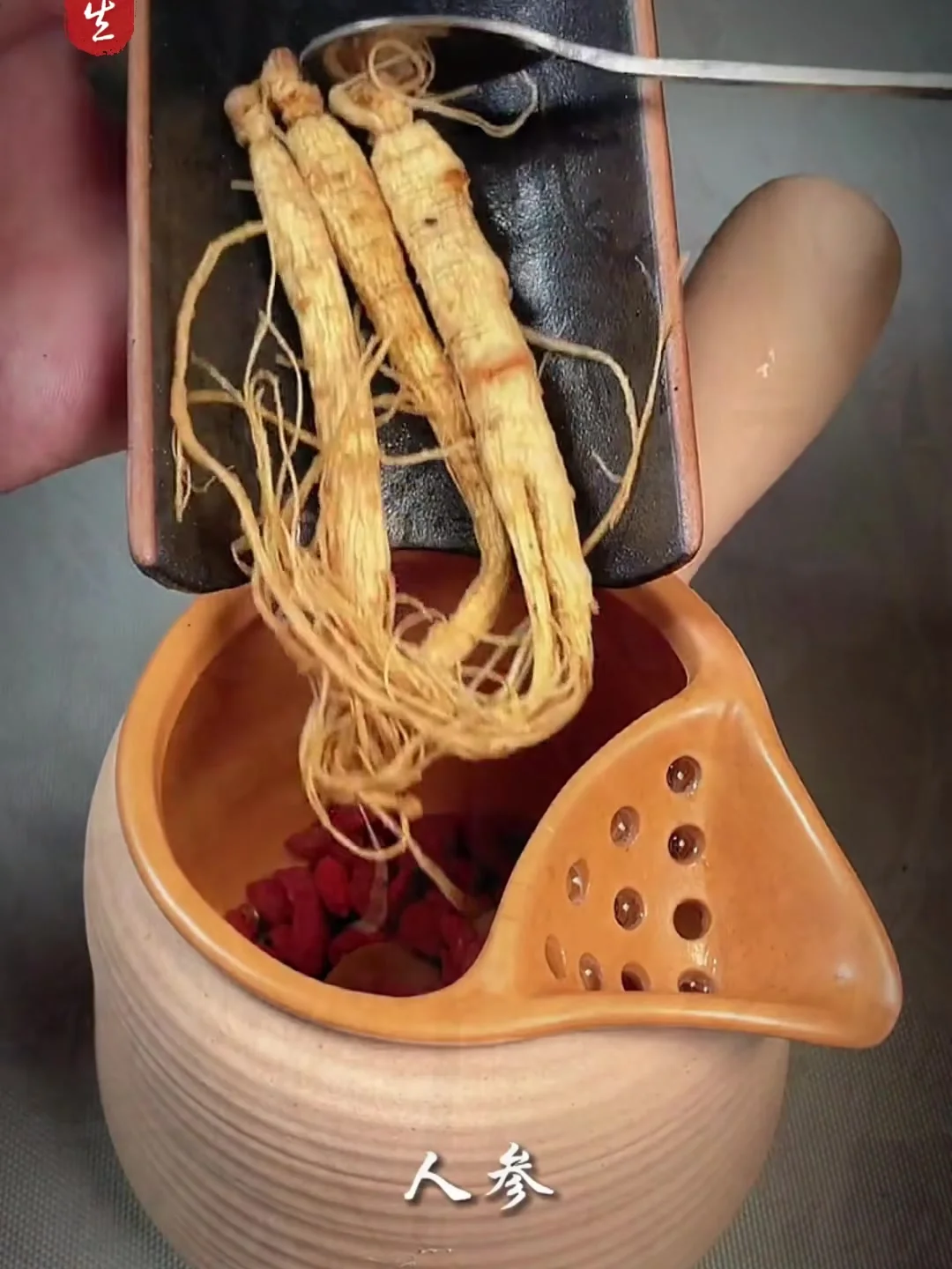 人参、天麻、枸杞、红枣在透明玻璃罐中泡制养生酒的实拍效果图_1