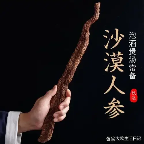 肉苁蓉人参泡酒配方示例图：透明玻璃瓶中浸泡着肉苁蓉切片和人参，酒液呈琥珀色，背景有枸杞红枣点缀。_1