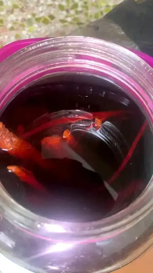酿酒师在酿酒坊中手持桑枝，严肃观察，探讨桑枝泡酒的安全性问题_1