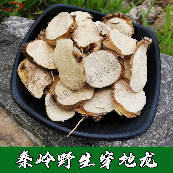 家庭自制穿地龙泡酒：透明玻璃罐中金黄色酒液浸泡着穿地龙切片，旁边散落着原药材和配方纸条。_1