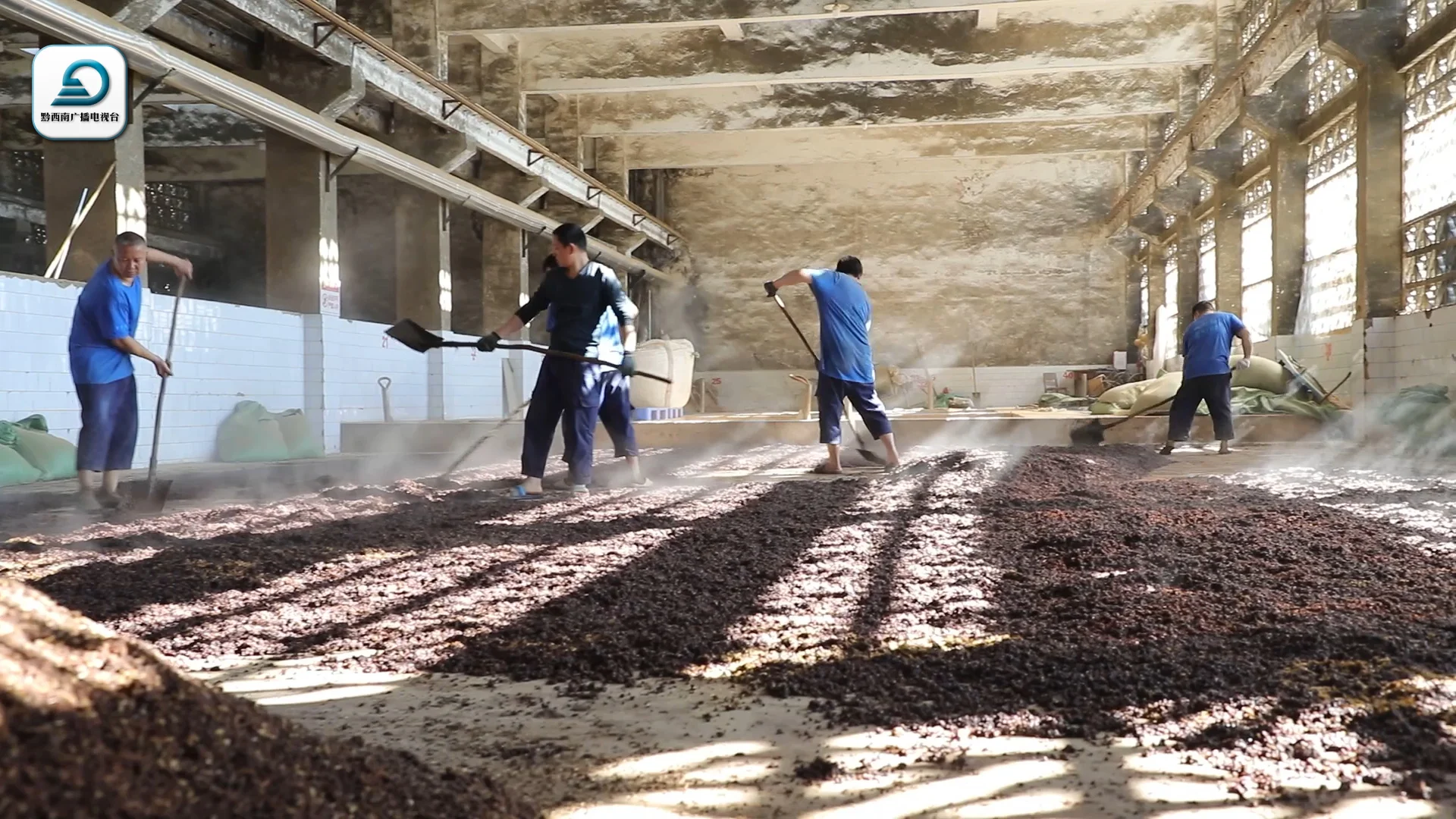 白酒酿造生产线内部工作场景，展示了从蒸馏到发酵的多个核心工序_1