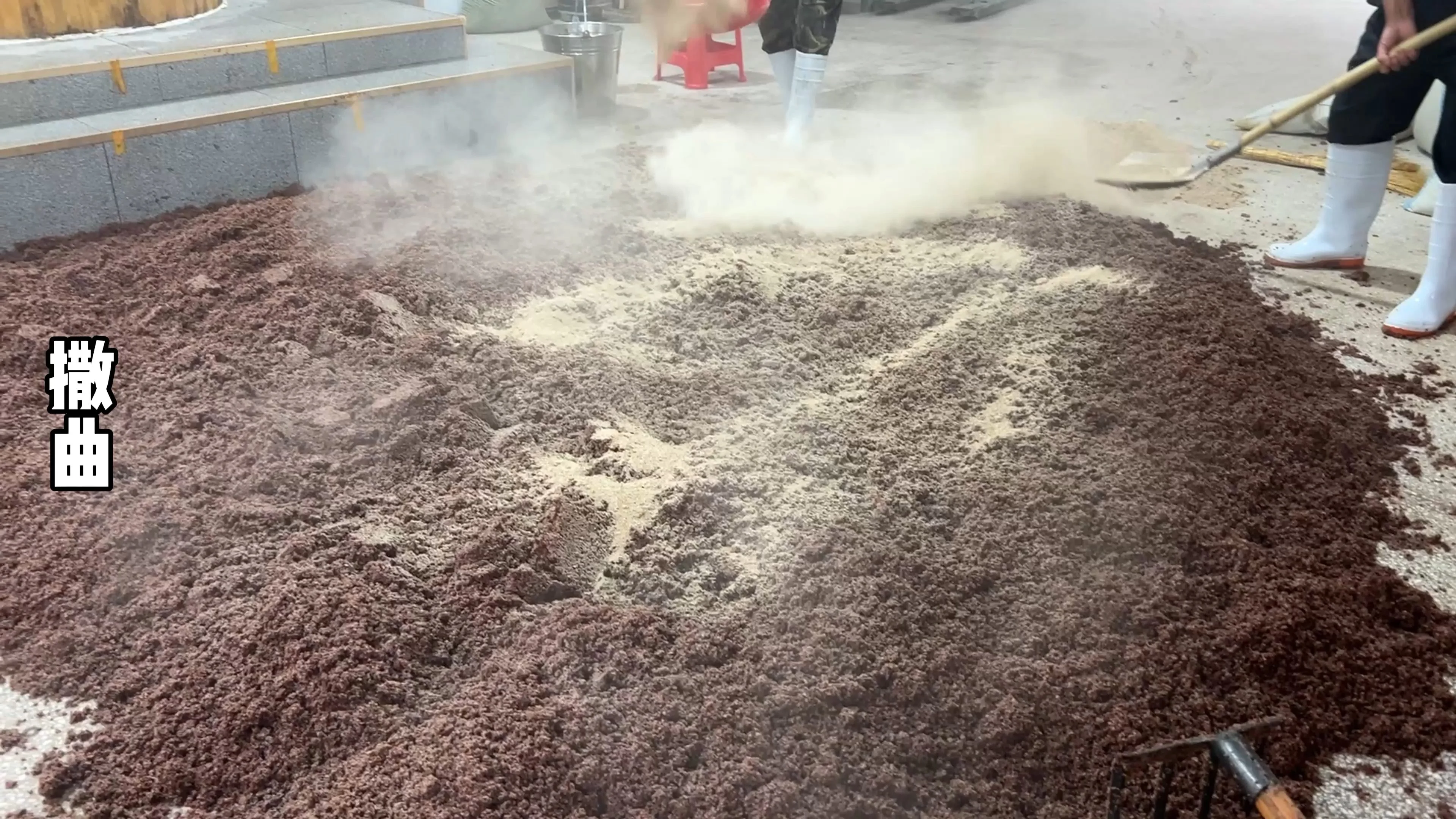 酿酒师的手正在检查陶缸中粮食的发酵状态，背景中的平板电脑正在播放白酒制作教学视频，展现理论与实践结合的学习场景。_1
