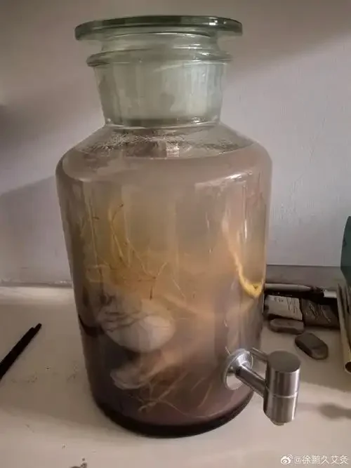玻璃泡酒罐中鹿茸血与纯粮食酒浸泡过程的特写，展示专业家庭泡制场景_1