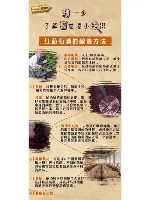 葡萄酒发酵过程实拍：透明发酵罐中的葡萄汁正在活跃发酵，旁边是新鲜的葡萄和酿酒工具。_1