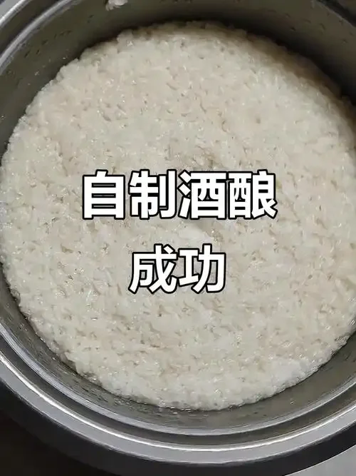 一个用于酒酿发酵的玻璃罐，罐口用保鲜膜和橡皮筋严格密封，展示了家庭制作酒酿时正确的密封状态。_1