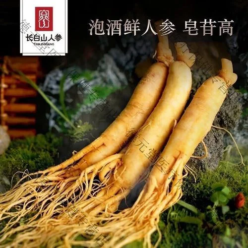 盛装在玻璃瓶中的琥珀色气血双生酒，旁边陈列着当归、黄芪等中药材，背景是酿酒工具和笔记。_1