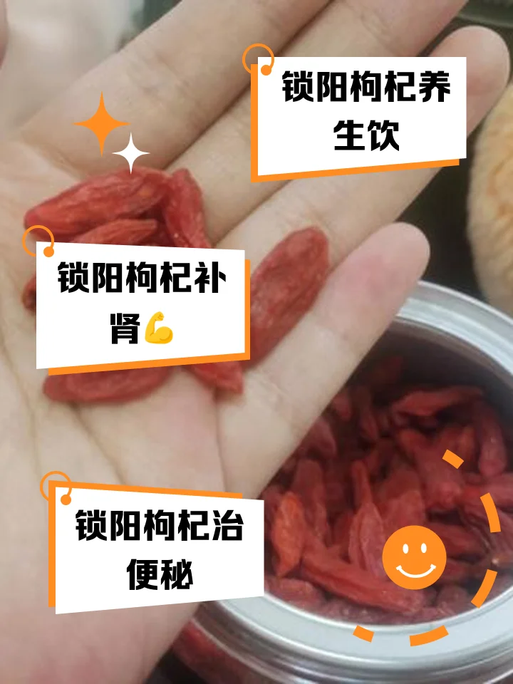 肉苁蓉锁阳枸杞泡酒成品展示，琥珀色酒液中清晰可见药材，旁边散落着未浸泡的原料。_1