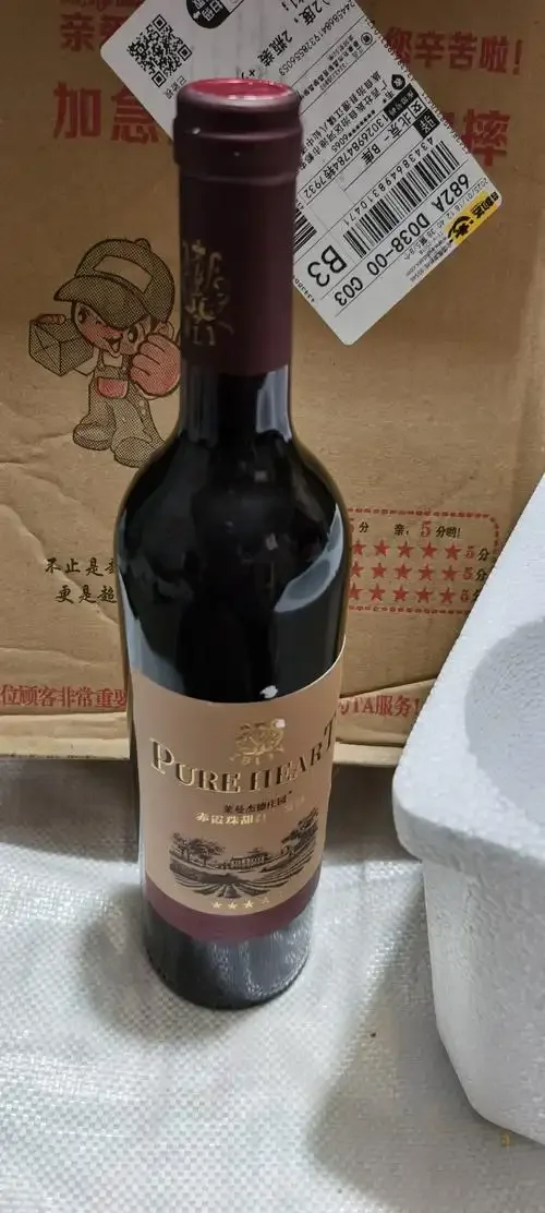 一杯自酿的甜红葡萄酒特写，旁边有新鲜的葡萄和家庭酿酒工具，展示家庭酿酒的乐趣与成果。_1