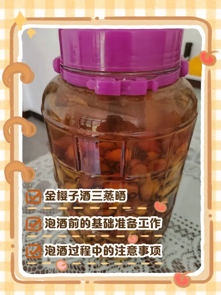 金樱子与五指毛桃在琥珀色酒液中浸泡的微距特写，展示传统养生酒的质朴美感_1