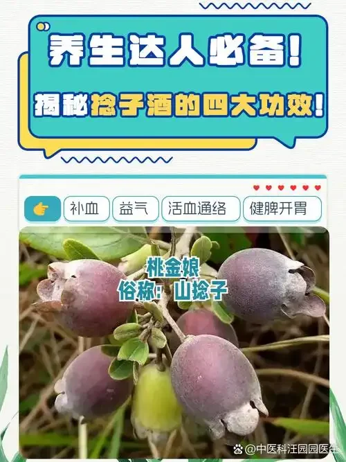 酿酒师将新鲜稔子果放入玻璃发酵罐准备酿造_1