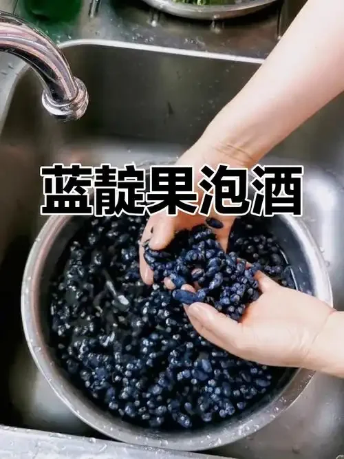 家庭自酿蓝靛果泡酒特写，深宝石红色酒液与蓝紫色果实清晰可见_1