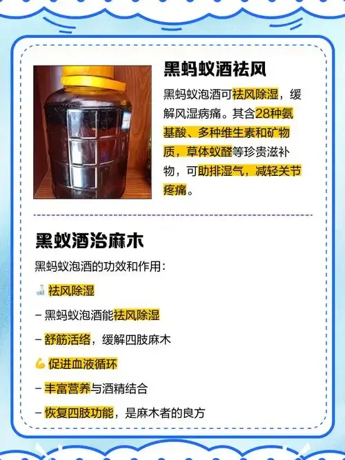 酿酒师正在精确称量黑蚂蚁，准备泡酒_1