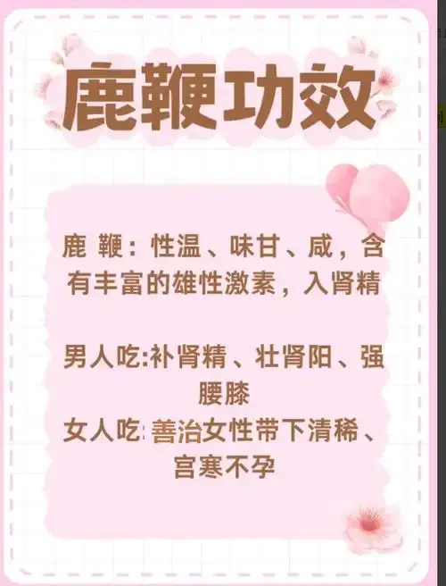 资深酿酒师工作台上的鹿鞭泡酒坛，展示鹿鞭、人参等原料与琥珀色酒液的完美融合。_1