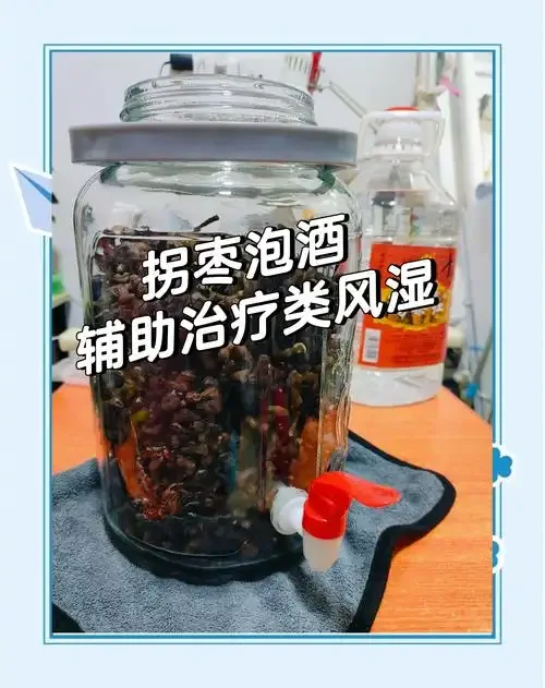 家庭泡制拐枣酒过程展示：透明玻璃罐中泡着金黄拐枣与清澈酒液，旁边摆放着新鲜拐枣和冰糖。_1
