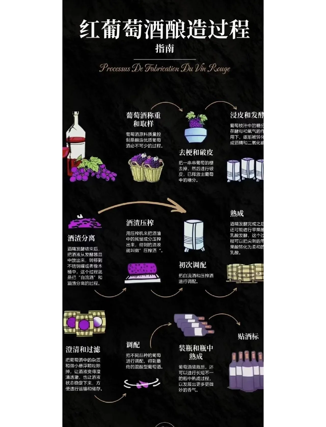 家庭自制葡萄酒核心步骤：将葡萄捏碎放入发酵罐_1