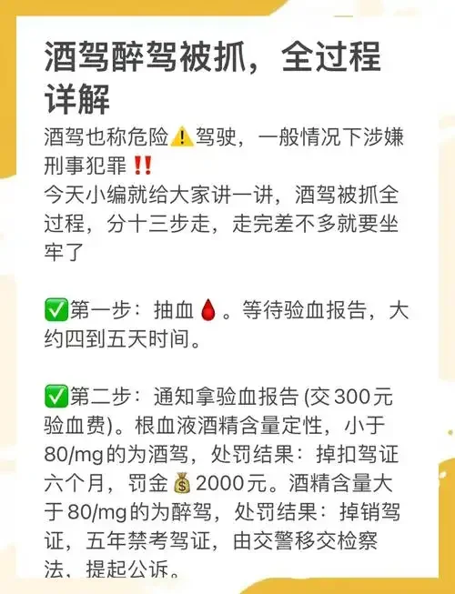 交通违法异地处理场景示意图，强调酒驾处罚的严肃性与流程性_1