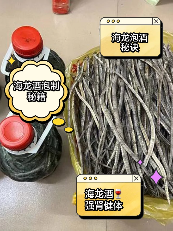 海龙海马泡酒药材与玻璃罐展示图：包含海龙、海马、枸杞等原料及称重工具_1