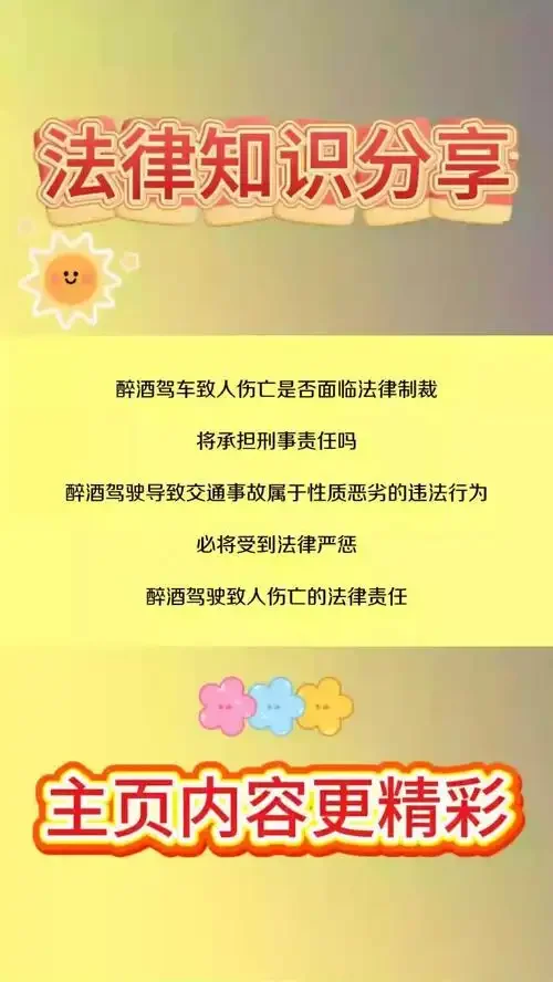 律师在法庭背景下分析酒驾事故的法律责任与赔偿问题示意图_1