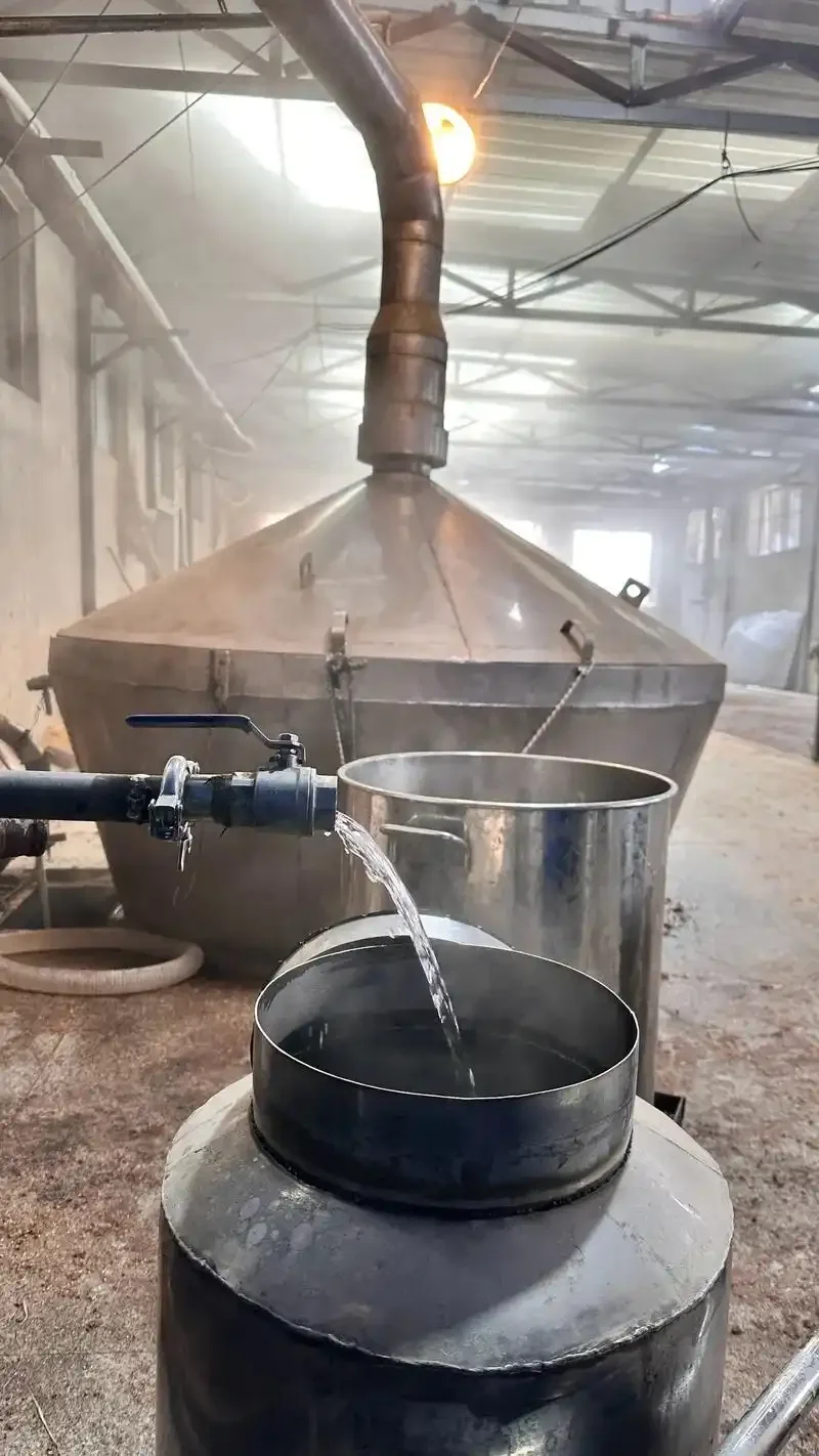 酿酒师在车间仔细检查一台不锈钢酿酒设备_1