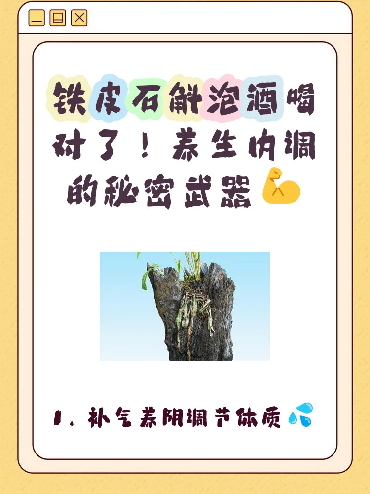 铁皮石斛鲜条与枸杞在透明玻璃酒罐中泡制，酒液呈现淡金色，展示石斛泡酒的专业方法。_1