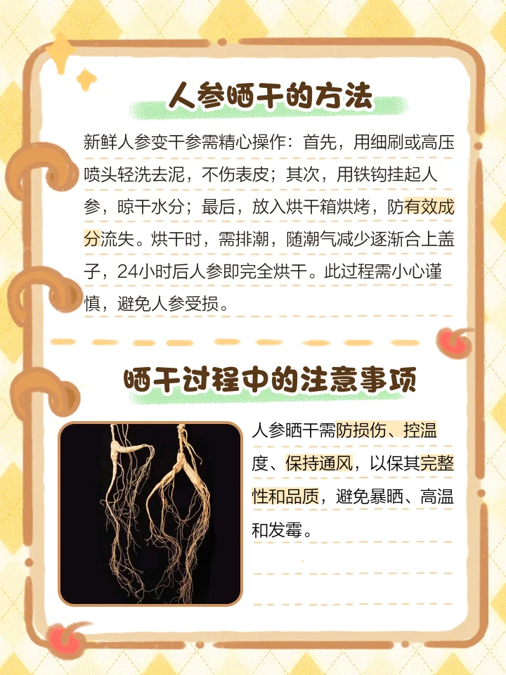 酿酒师正在用软毛刷仔细清洗鲜人参，准备用于泡酒_1