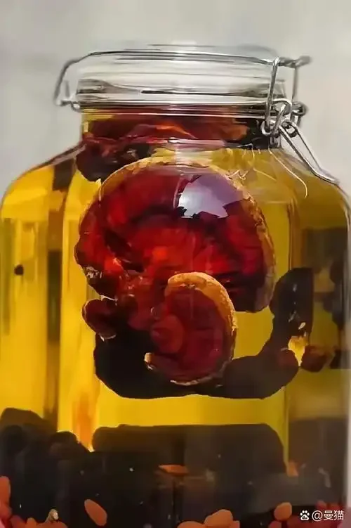 浸泡着整朵灵芝、人参和枸杞的琥珀色养生酒坛特写，旁边散落着原料，用于展示灵芝泡酒的经典搭配。_1