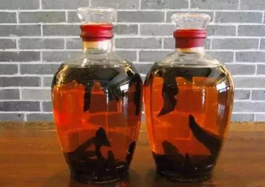 灵芝泡酒对比图：左边是清澈琥珀色的优质灵芝酒，右边是浑浊发霉的变质灵芝酒，直观展示两者区别。_1