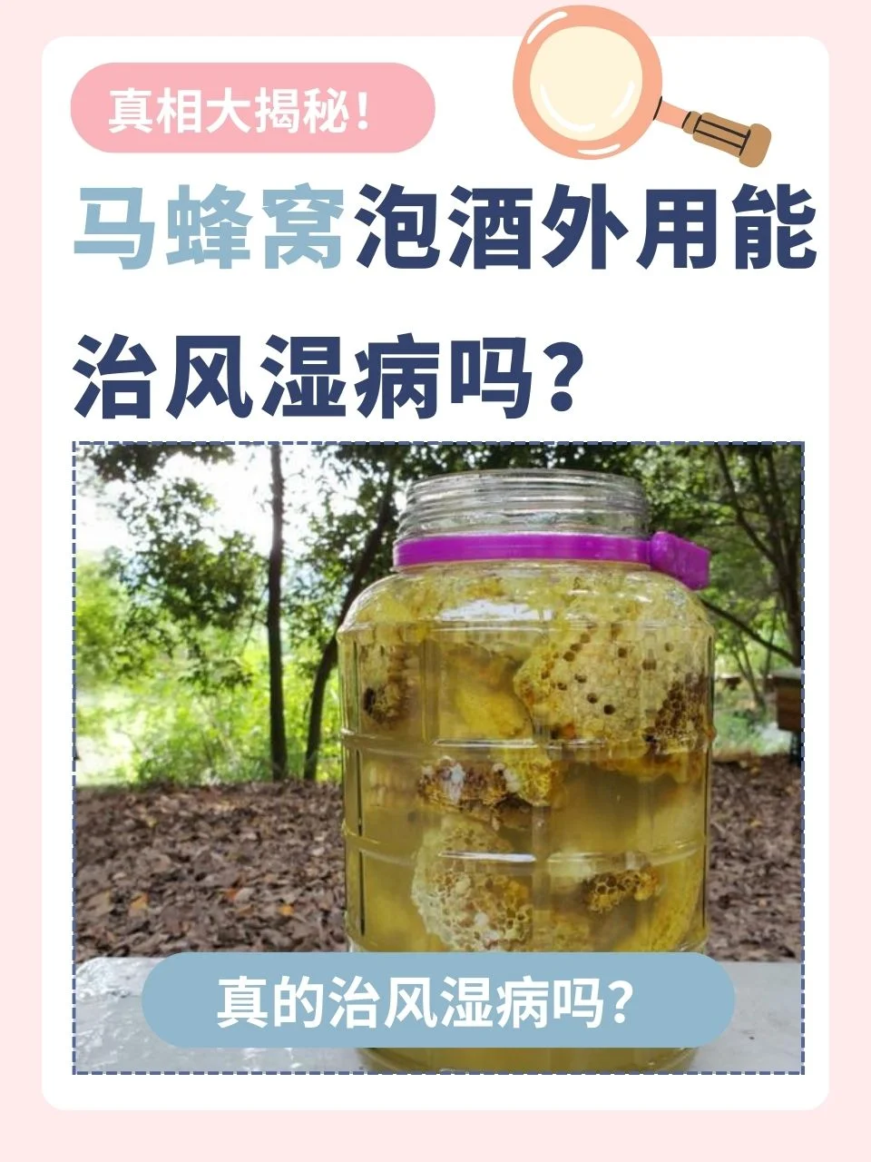 家庭自制的蜂胎泡酒实拍图，透明酒坛中琥珀色酒液和蜂胎清晰可见。_1