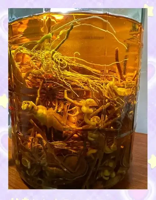 自制中药补肾泡酒过程展示，透明玻璃罐中浸泡着鹿茸、枸杞、肉苁蓉等药材_1
