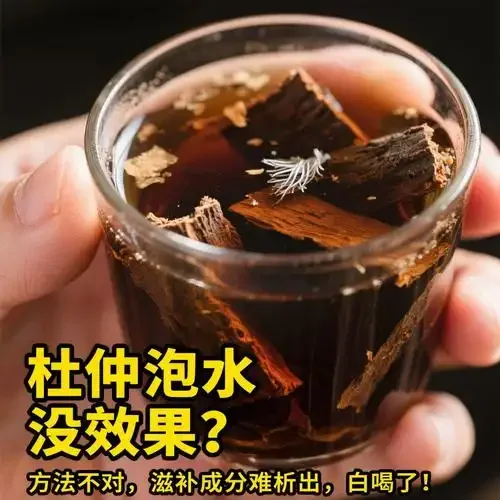 酿酒师演示白酒泡杜仲的正确比例与操作方法_1