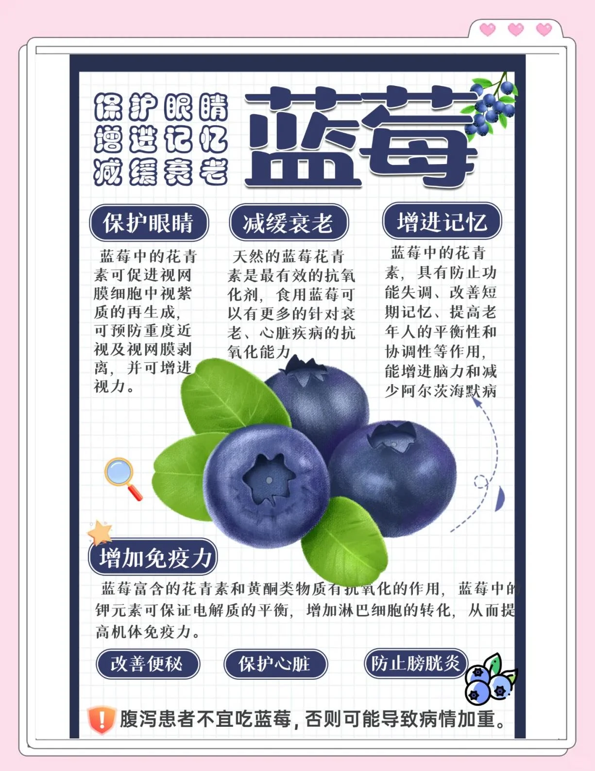 家庭自酿蓝莓葡萄酒发酵过程实拍，展示玻璃瓶中深红色的酒液与蓝莓果肉。_1