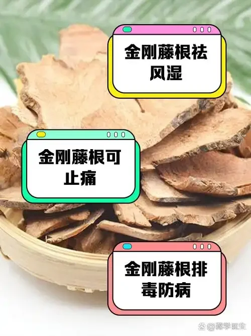 金刚藤泡酒过程展示：透明玻璃罐中金刚藤根茎在清澈酒液中浸泡的场景_1