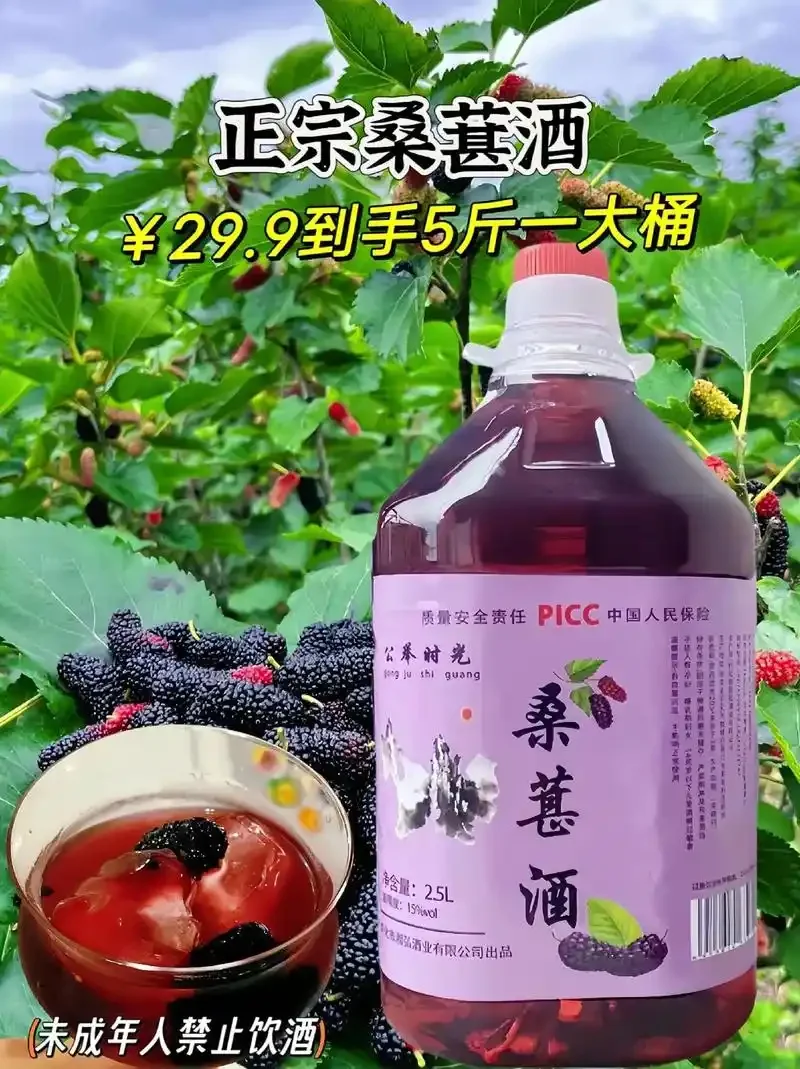酿酒师正在测量自酿桑葚酒的糖度，以确保糖分控制得当。_1