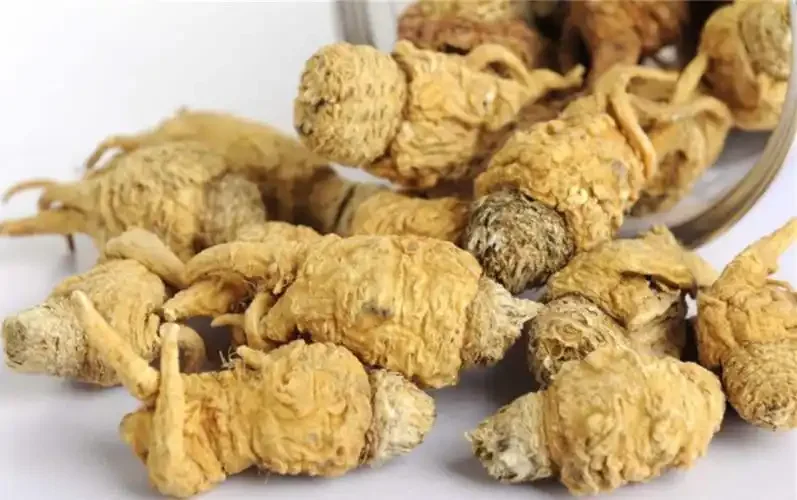 玛卡、枸杞、红枣一起浸泡在玻璃瓶中的泡酒原料搭配图_1